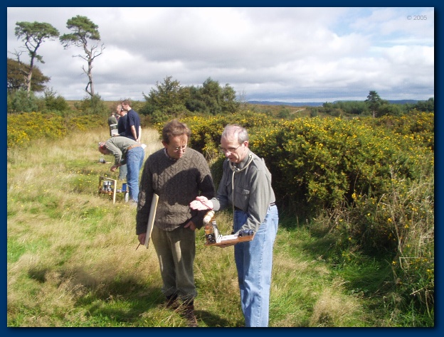 600x449 pixels (152K)